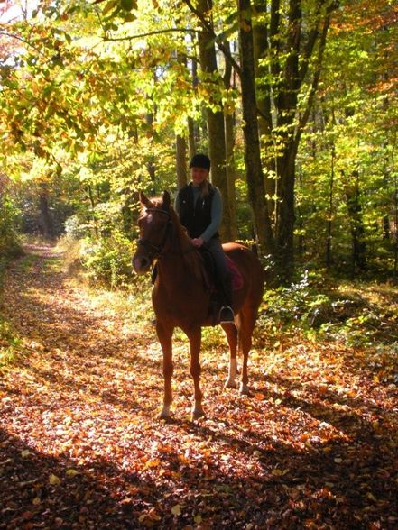 Fotos vom reiten und va unsre vicha - 