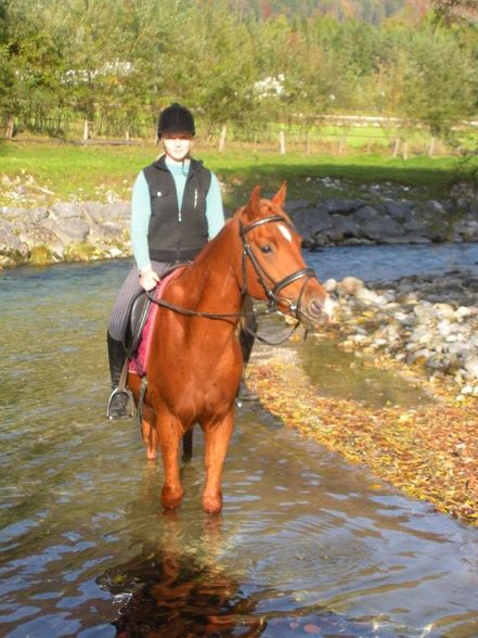 Fotos vom reiten und va unsre vicha - 