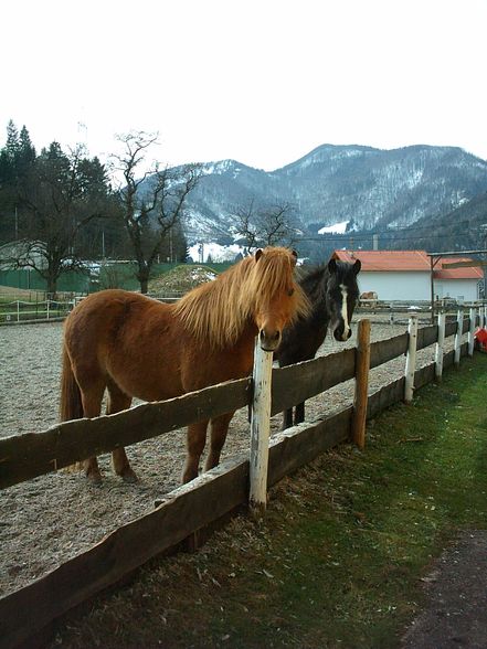 Fotos vom reiten und va unsre vicha - 