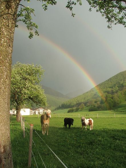 Fotos vom reiten und va unsre vicha - 