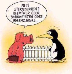 sternzeichen - 