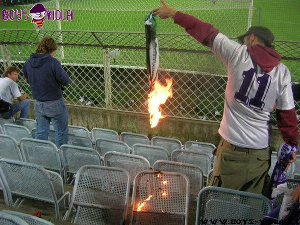 austria wien fotos - 