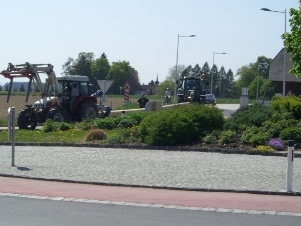  Maibaum - 