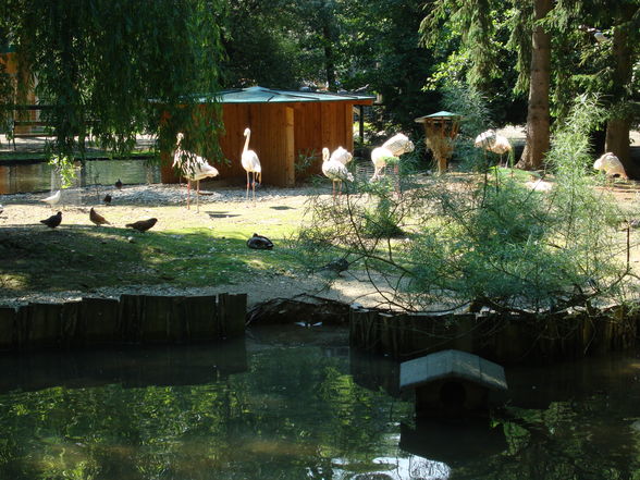 Tierpark Haag mit'n Alex - 