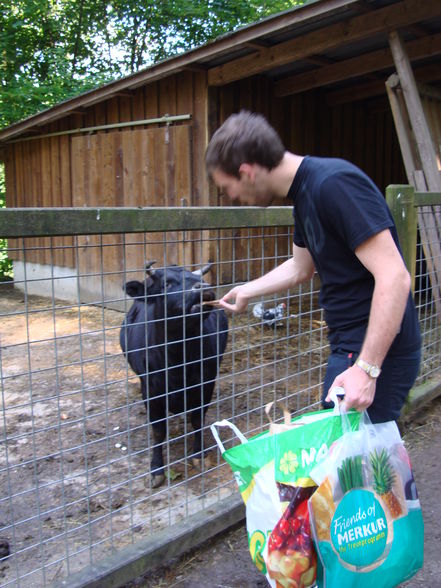 Tierpark Haag mit'n Alex - 