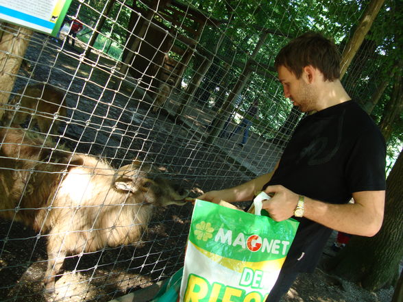 Tierpark Haag mit'n Alex - 