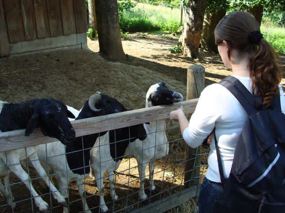 Tierpark Haag mit'n Alex - 