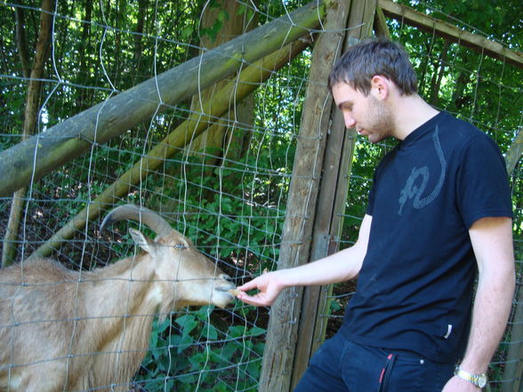 Tierpark Haag mit'n Alex - 