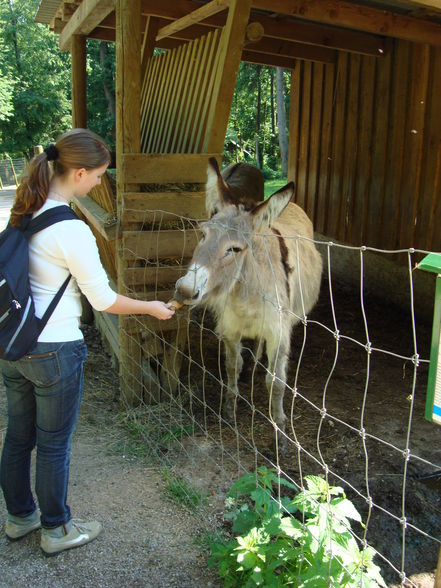 Tierpark Haag mit'n Alex - 