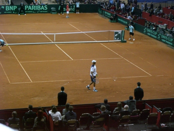 Daviscup 08- Österreich vs Amerika - 