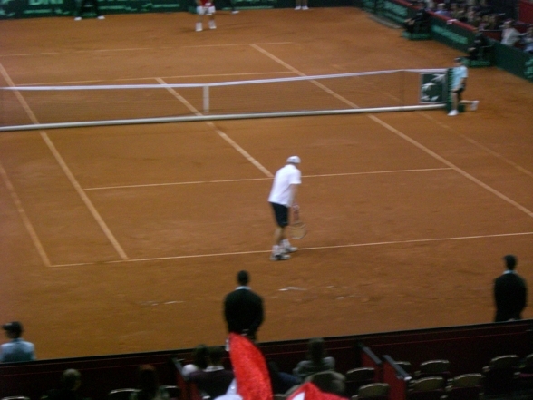 Daviscup 08- Österreich vs Amerika - 