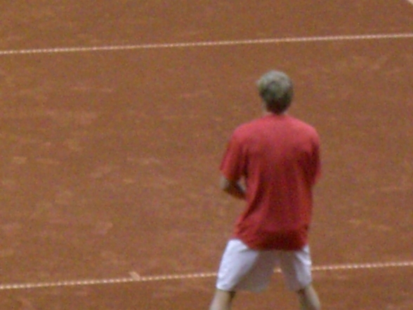 Daviscup 08- Österreich vs Amerika - 