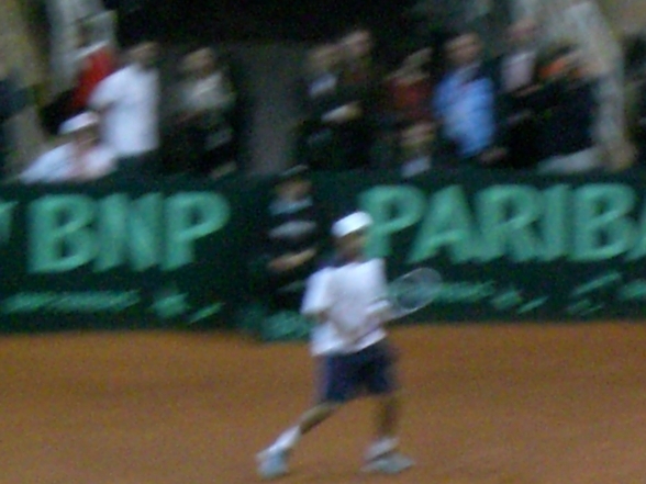 Daviscup 08- Österreich vs Amerika - 