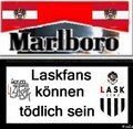 >>LasK LinZ>>  - 