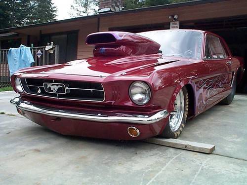 Mustang - 