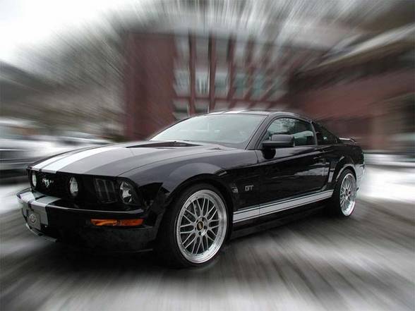 Mustang - 