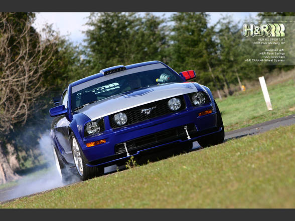Mustang - 