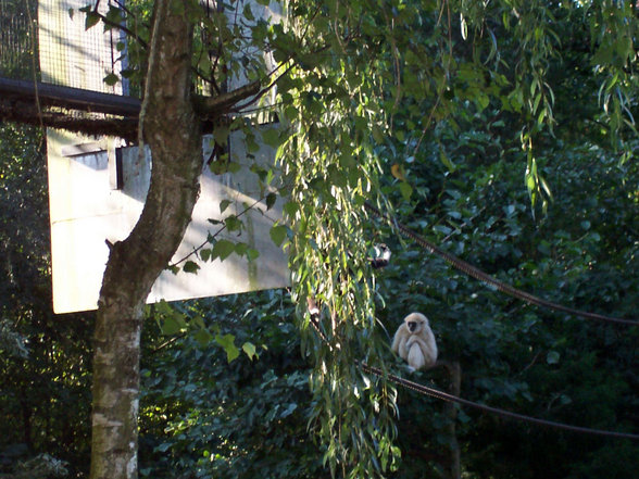 Ausflug Tierpark Schmiding Sept. 2006 - 