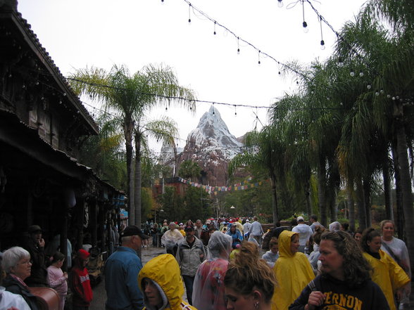 Orlando Februar 2007 - 