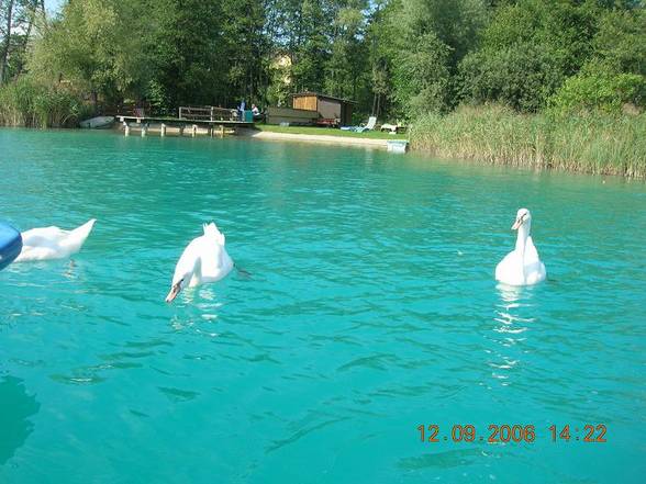 Sportwoche am Faaker See - 