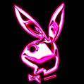 Bunny´s!!!!! - 