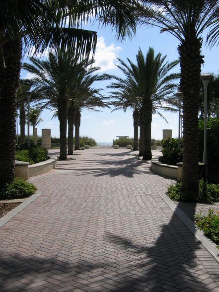 Miami  :D - 