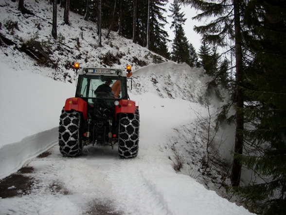 Schneefräsn - 