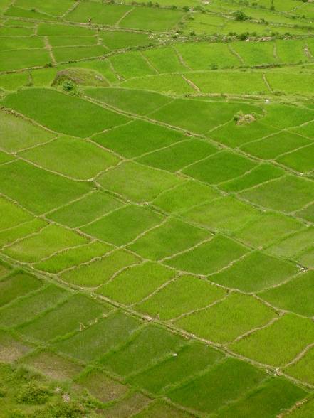 Nepal Summer 2005 - 