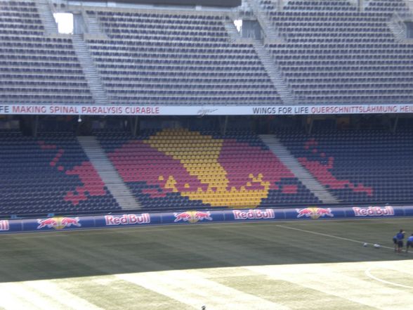 Im RedBull Stadion - 