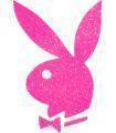 pLaYbOy - 