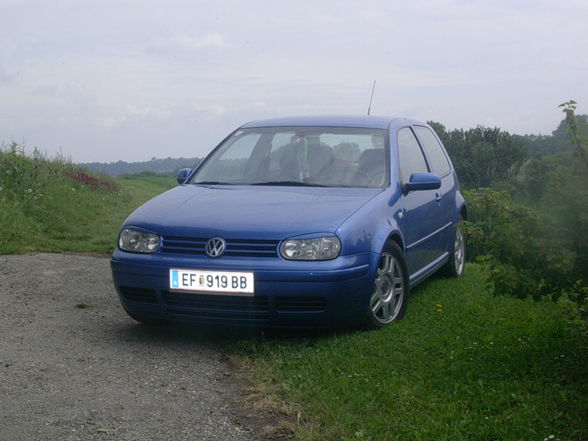 Meiner: Golf 4 - 