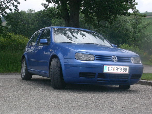 Meiner: Golf 4 - 