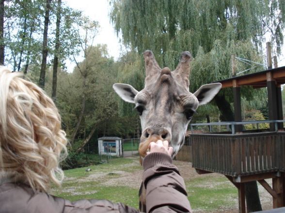 Tierpark Schmiding - 