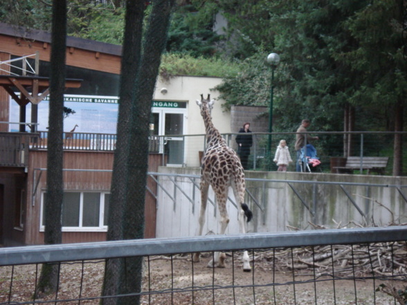 Tierpark Schmiding - 