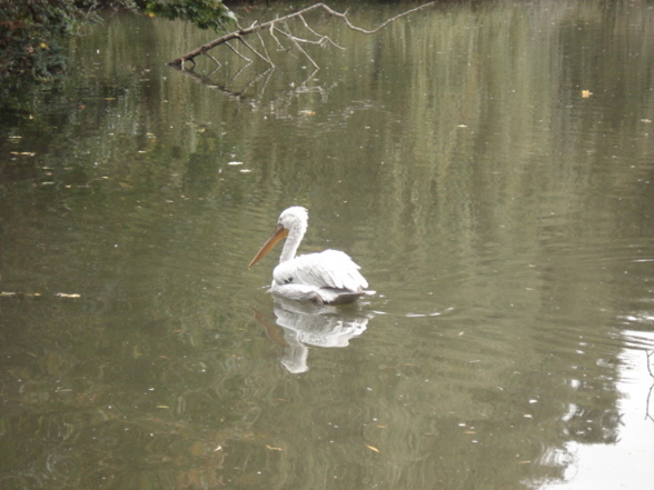 Tierpark Schmiding - 