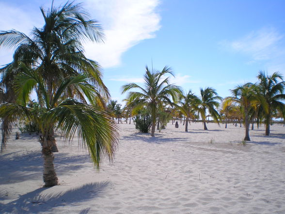 Kuba & Cayo Largo - 