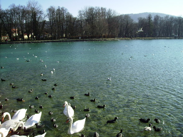 Sonntagsausflug mim Schatzl am Attersee - 