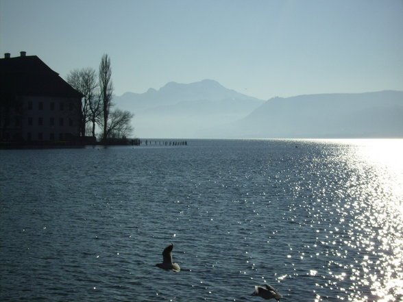 Sonntagsausflug mim Schatzl am Attersee - 