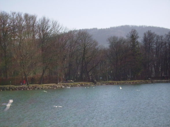 Sonntagsausflug mim Schatzl am Attersee - 