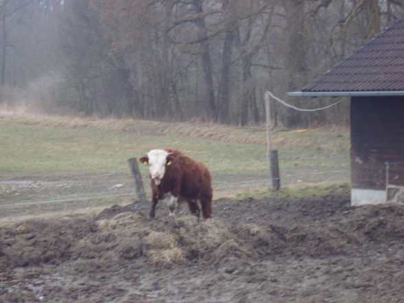 Das Glück der Erde... - 