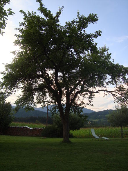 Kärnten 2009 - 