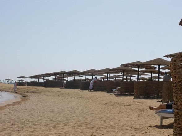 Ägypten Urlaub 2008 - 