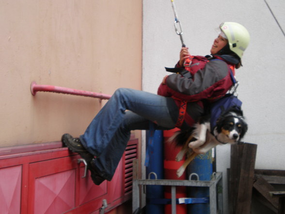 Meine Rettungshunde - 