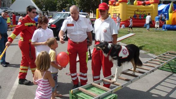 Meine Rettungshunde - 