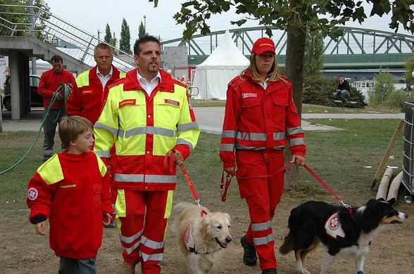 Meine Rettungshunde - 