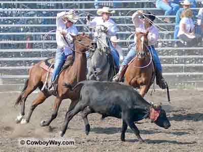 cowgirls do it better - 