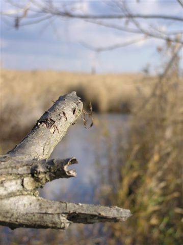 meine herbst naturaufnahmen 2005 - 