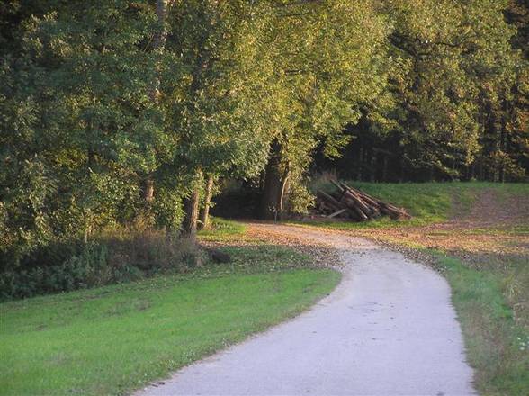 meine herbst naturaufnahmen 2005 - 