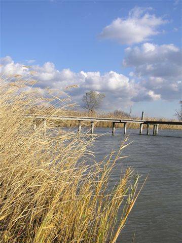 meine herbst naturaufnahmen 2005 - 