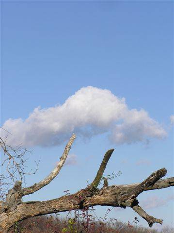 meine herbst naturaufnahmen 2005 - 